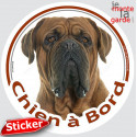 Dogue de Bordeaux, sticker rond voiture "Chien à Bord" 15 cm - 3a