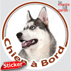 Husky gris , sticker voiture rond "Chien à Bord" 15 cm - 3a