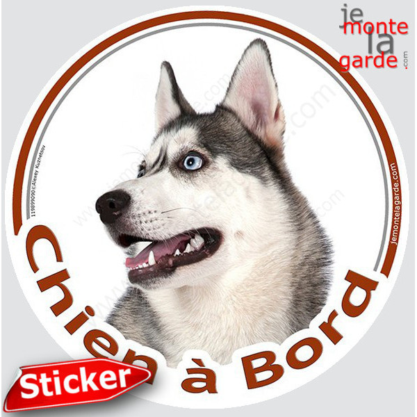 Husky gris et blanc avec yeux bleus Tête, sticker autocollant rond "Chien à Bord" Disque photo adhésif vitre voiture photo