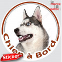 Husky gris , sticker voiture rond "Chien à Bord" 15 cm - 3a