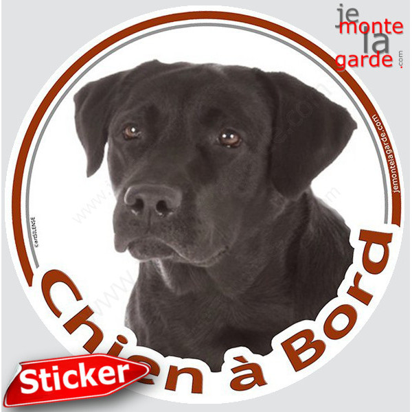 Labrador noir, sticker autocollant rond "Chien à Bord" Disque adhésif photo vitre voiture