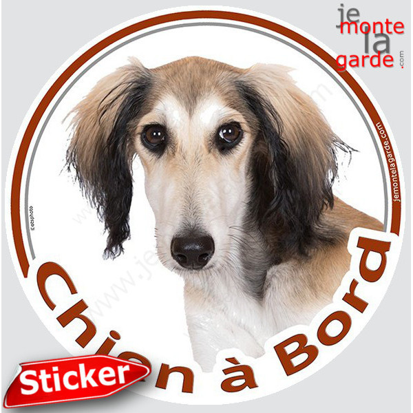 Lévrier Saluki fauve et blanc, sticker autocollant rond "Chien à Bord" Disque photo adhésif vitre voiture