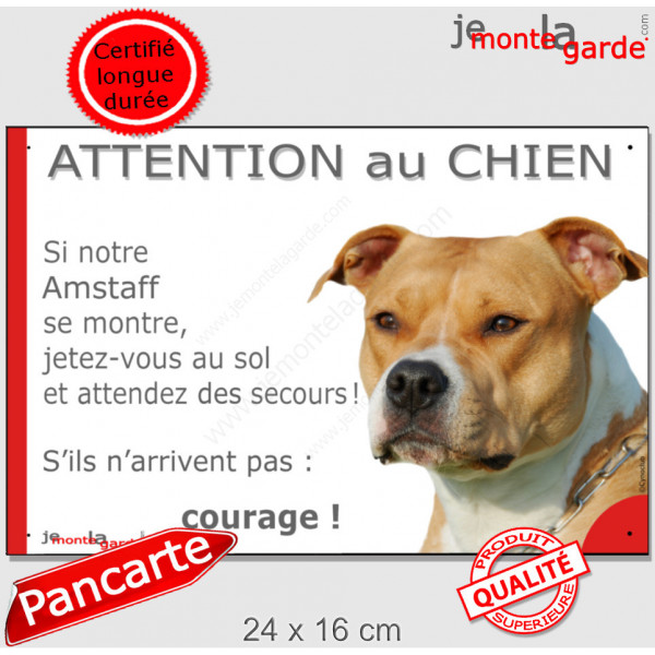 Amstaff fauve, plaque portail humour," Attention au chien, jetez Vous au Sol, courage" photo American Staff Terrier