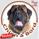 Mastiff Tête, sticker autocollant rond "Chien à Bord" Disque photo adhésif vitre voiture