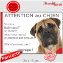 Bullmastiff fauve, plaque portail humour "Attention au Chien, Jetez Vous au Sol" 24 cm JET