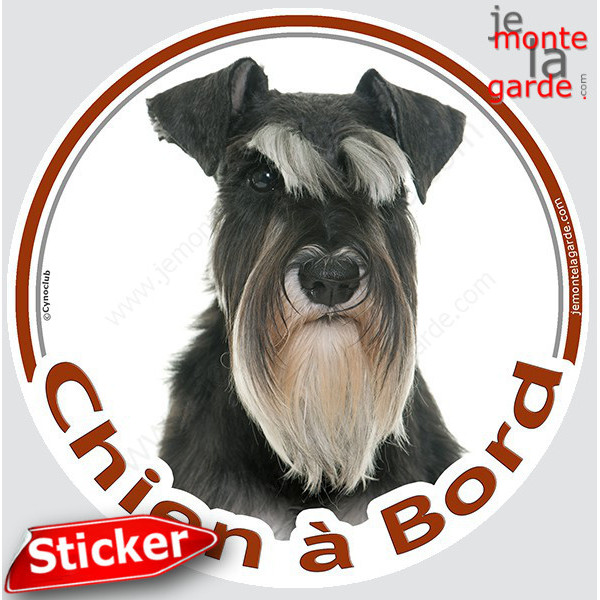 Schnauzer noir et blanc Tête, disque photo autocollant "Chien à Bord" Sticker adhésif rond vitre voiture