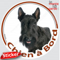 Scottish Terrier noir, sticker voiture rond "Chien à Bord" 15 cm - 3a