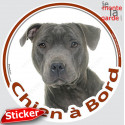 Staffie bleu, sticker voiture rond "Chien à Bord" 15 cm - 3a