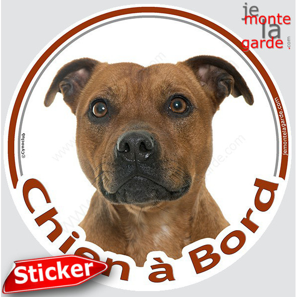 Staffie fauve marron, sticker autocollant rond "Chien à Bord" Disque photo Staffy Tête, adhésif vitre voiture