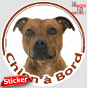 Staffie fauve, sticker rond voiture "Chien à Bord" 15 cm - 3a