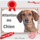 Teckel fauve poils ras Tête, plaque portail "Attention au Chien" pancarte panneau photo Tequel marron orange