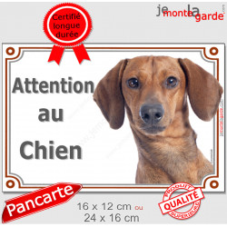 Teckel fauve poils ras Tête, plaque portail "Attention au Chien" pancarte panneau photo Tequel marron orange