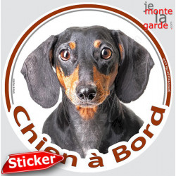 Teckel noir et feu poils ras, sticker voiture rond "Chien à Bord" 15 cm - 3a