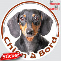 Teckel noir et feu poils ras, sticker voiture rond "Chien à Bord" 15 cm - 3a