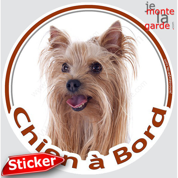 Yorkshire Terrier, sticker autocollant rond "Chien à Bord" Disque photo adhésif vitre voiture