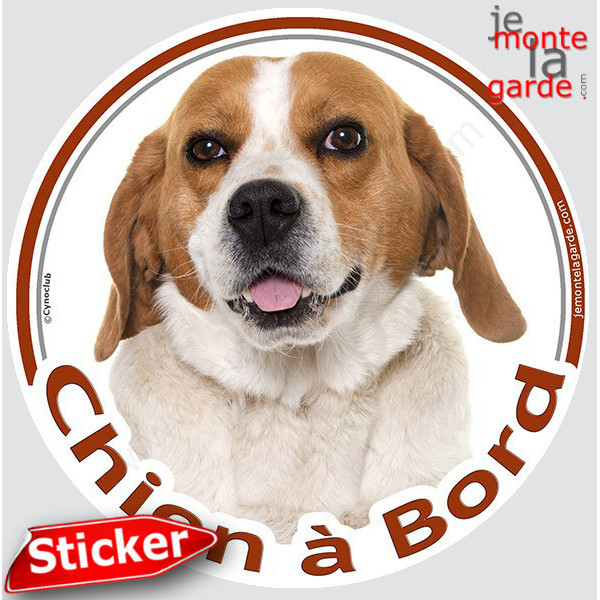 Beagle blanc et fauve Tête, sticker rond "Chien à Bord" Disque photo autocollant marron voiture