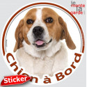 Beagle, sticker voiture rond "Chien à Bord" 15 cm - 3a