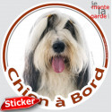 Bearded Collie, sticker voiture rond "Chien à Bord" 15 cm - 3a