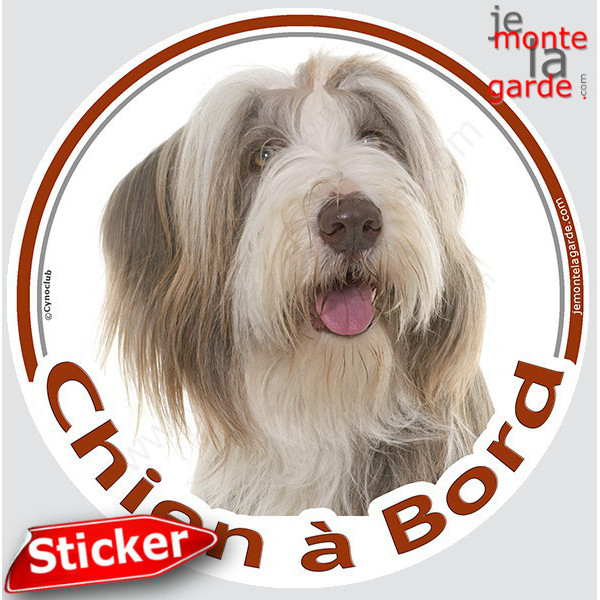 Bearded Collie Blanc et fauve, sticker autocollant rond "Chien à Bord" Disque photo adhésif vitre voiture, auto marron beige