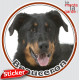 Beauceron noir et feu, sticker photo rond, Disque autocollant adhésif Berger de Beauce voiture vitre