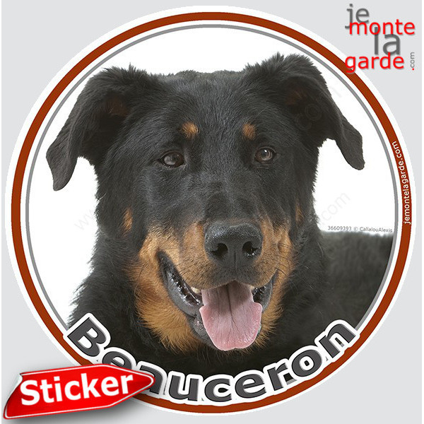 Beauceron noir et feu, sticker photo rond, Disque autocollant adhésif Berger de Beauce voiture vitre