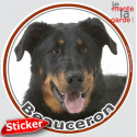 Beauceron noir et feu, sticker photo rond 15 cm - 3a