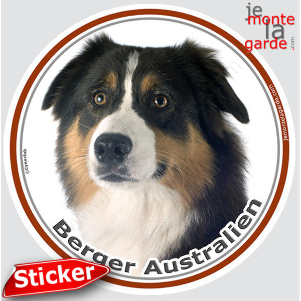 Berger Australien Tricolore Noir Tête, sticker autocollant rond Disque adhésif photo race chien Aussie