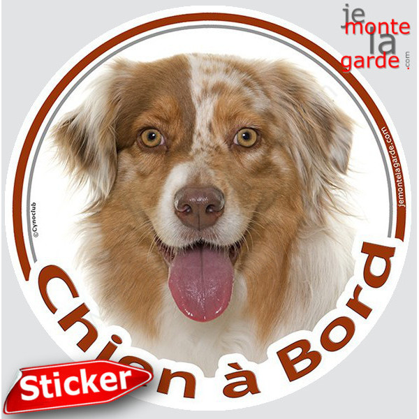 Berger Australien Rouge Merle, sticker autocollant rond "Chien à Bord" Disque Aussie vitre auto, adhésif voiture Aussie