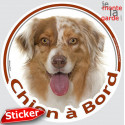 Berger Australien Rouge Merle, sticker "Chien à Bord" 15 cm - 3a