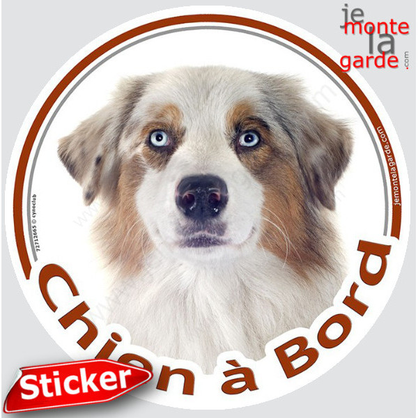 Berger Australien Blanc et Rouge Merle Tête, sticker autocollant rond "Chien à Bord" vitre voiture Aussie