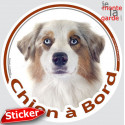 Berger Australien rouge merle, sticker voiture rond "Chien à Bord" 15 cm 3a