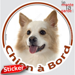 Berger Islandais, sticker voiture rond "Chien à Bord" 15 cm 3a