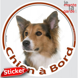 Border Collie tricolore, sticker voiture rond "Chien à Bord" 15 cm - 3a