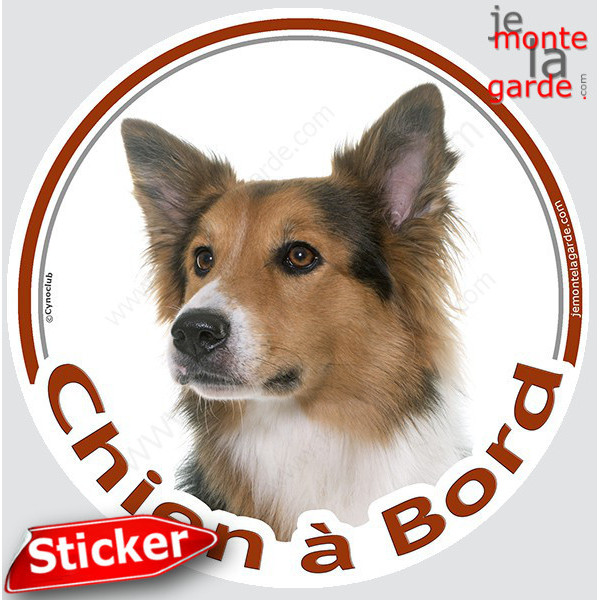 Border Collie tricolore Tête, sticker autocollant rond "Chien à Bord" Disque photo adhésif vitre voiture auto