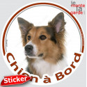 Border Collie tricolore, sticker voiture rond "Chien à Bord" 15 cm - 3a