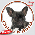 Bouledogue Français bringé, sticker voiture rond "Chien à Bord" 15 cm 3a