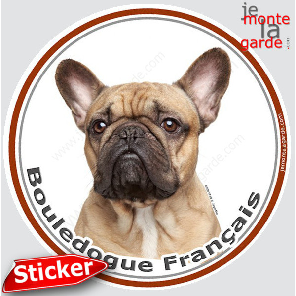 Bouledogue Français Fauve sable beige, sticker photo autocollant rond 15 cm, Disque adhésif