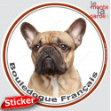 Bouledogue Français fauve, sticker photo rond 15 cm 3a