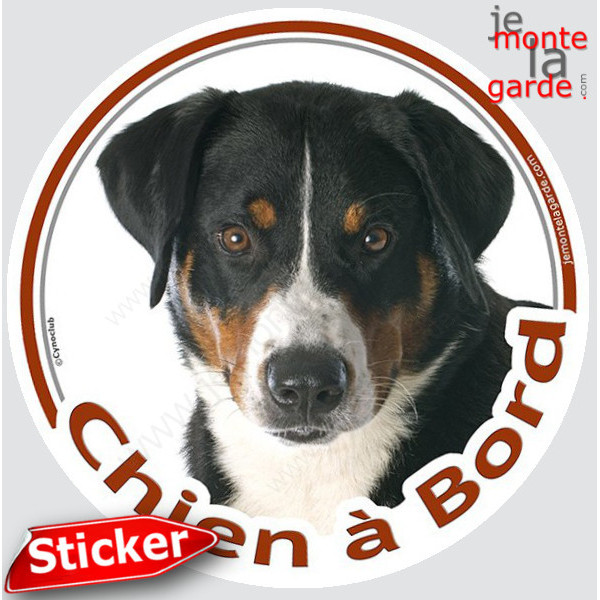 Bouvier d'Appenzell Tête, sticker autocollant rond "Chien à Bord" Disque photo adhésif vitre voiture auto Bouvier Suisse