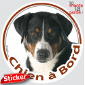 Bouvier d'Appenzell, sticker voiture rond "Chien à Bord" 15 cm - 3a