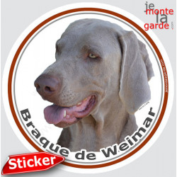 Braque de Weimar, sticker autocollant rond photo 15 cm 3a