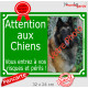 Photo personnalisable, plaque portail vert "Attention au Chien, risques périls" look plaque de rue 32 cm