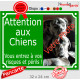 Photo personnalisable, plaque pluriel portail Vert Gazon "Attention aux Chiens, risques périls" look plaque de rue 32 cm