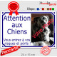 Photo personnalisable, plaque pluriel portail blanc liseré bleu "Attention aux Chiens, risques périls" look plaque de rue 24 cm