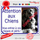 Photo personnalisable, plaque pluriel portail blanc liseré bleu "Attention aux Chiens, risques périls" look plaque de rue 32 cm