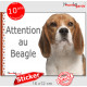 Beagle, panneau autocollant "Attention au Chien" Pancarte photo sticker adhésif, entrée boîte aux lettres