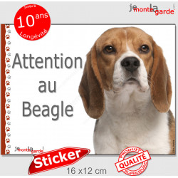 Beagle, sticker autocollant extérieur "Attention au Chien" 16 cm