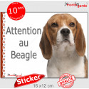 Beagle, sticker autocollant extérieur "Attention au Chien" 16 cm