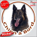 Berger Belge Tervueren, sticker voiture rond "Chien à Bord" 14 cm