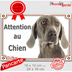 Braque de Weimar, plaque portail "Attention au Chien" 2 Tailles LUX D